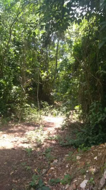 Foto 8 de Sítio / Rancho com 2 quartos à venda, 354m2 em Engenheiro Paulo De Frontin - RJ