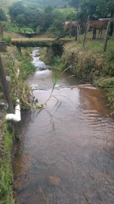 Foto 3 de Sítio / Rancho com 2 quartos à venda, 354m2 em Engenheiro Paulo De Frontin - RJ