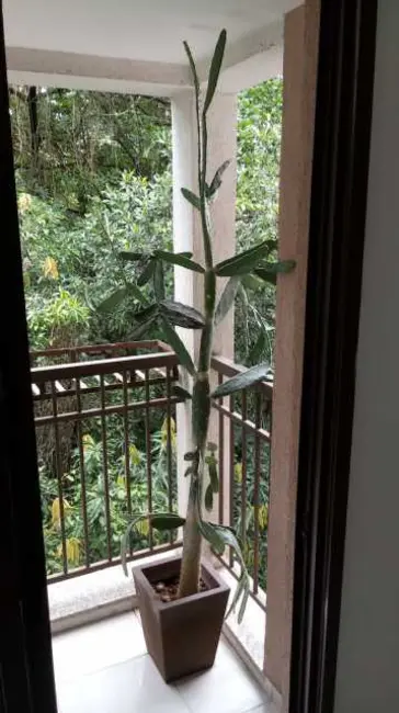 Foto 3 de Apartamento com 2 quartos à venda, 66m2 em Rio De Janeiro - RJ