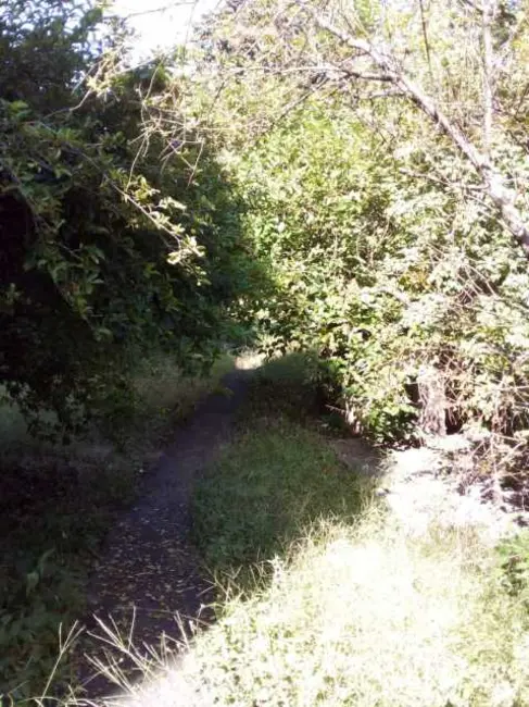 Terreno / Lote à venda, 1980m2 em Rio De Janeiro - RJ - imagem 4 Foto 4 de Terreno / Lote à venda, 1980m2 em Rio De Janeiro - RJ