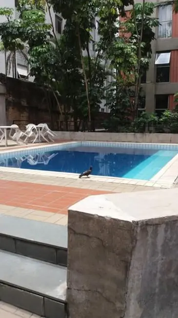 Apartamento com 3 quartos à venda, 93m2 em Perdizes, São Paulo - SP - imagem 7 Foto 7 de Apartamento com 3 quartos à venda, 93m2 em Perdizes, São Paulo - SP