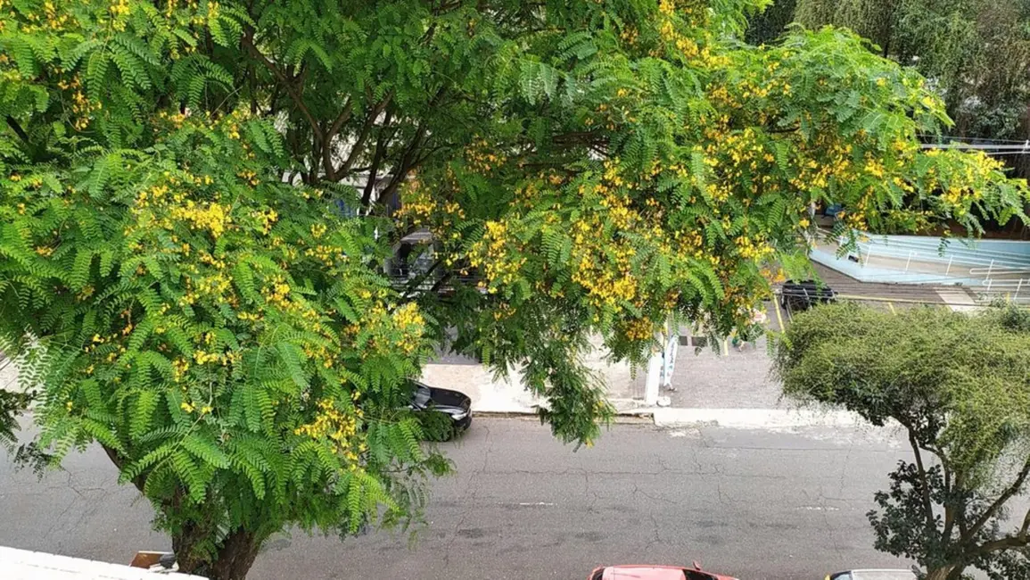 Apartamento com 3 quartos à venda, 119m2 em Paraíso, São Paulo - SP - imagem 5 Foto 5 de Apartamento com 3 quartos à venda, 119m2 em Paraíso, São Paulo - SP