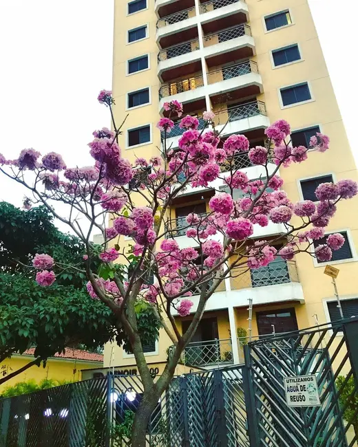 Foto 1 de Apartamento com 1 quarto à venda, 44m2 em Bela Vista, São Paulo - SP