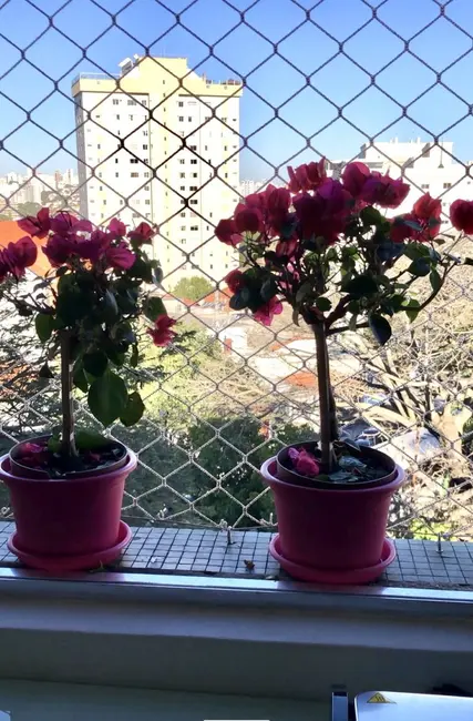 Apartamento com 2 quartos à venda, 78m2 em Alto de Pinheiros, São Paulo - SP - imagem 6 Foto 6 de Apartamento com 2 quartos à venda, 78m2 em Alto de Pinheiros, São Paulo - SP