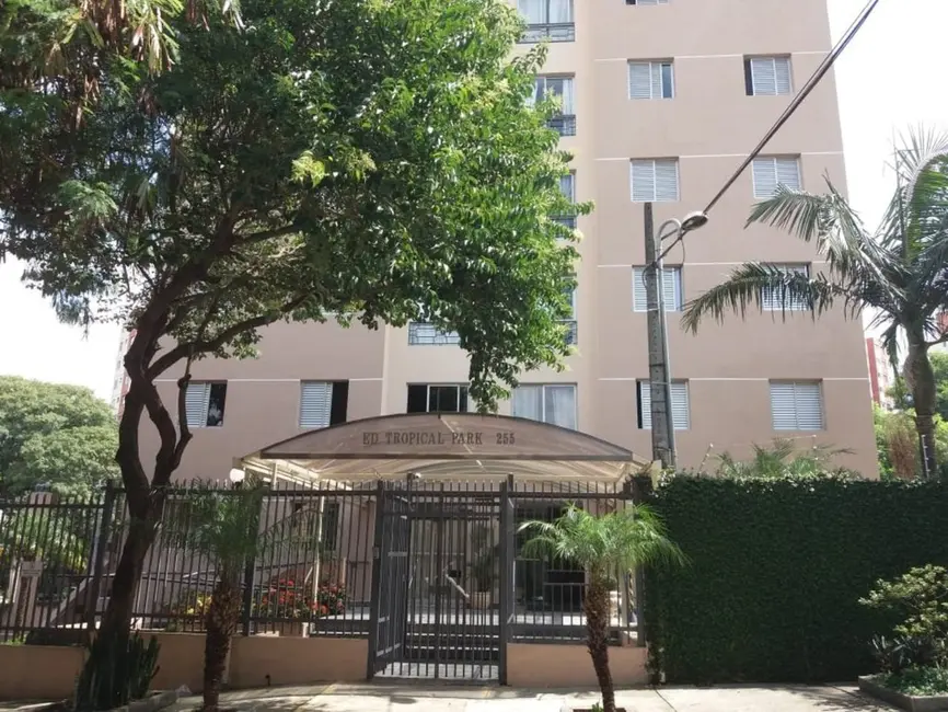 Apartamento com 3 quartos à venda, 63m2 em Sacomã, São Paulo - SP - imagem 6 Foto 6 de Apartamento com 3 quartos à venda, 63m2 em Sacomã, São Paulo - SP