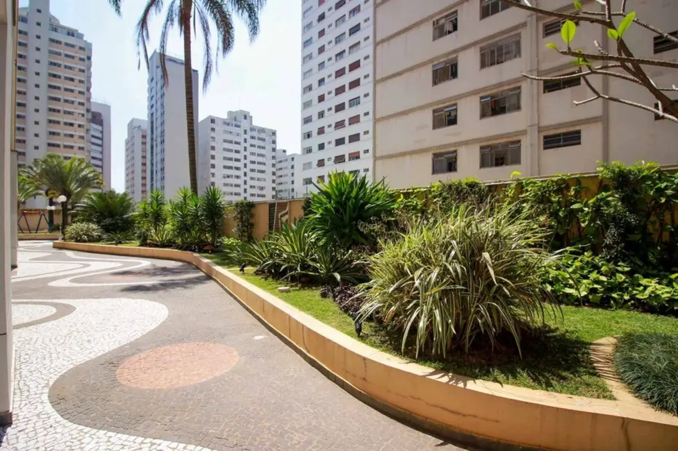 Apartamento com 3 quartos à venda, 111m2 em Perdizes, São Paulo - SP - imagem 8 Foto 8 de Apartamento com 3 quartos à venda, 111m2 em Perdizes, São Paulo - SP