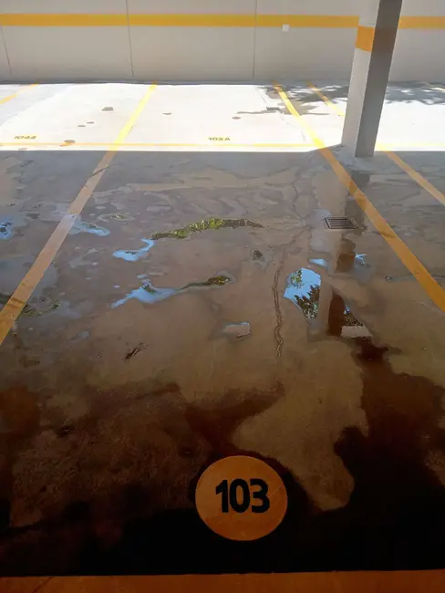 Apartamento com 3 quartos à venda, 76m2 em Parque Amazônia, Goiania - GO - imagem 5 Foto 5 de Apartamento com 3 quartos à venda, 76m2 em Parque Amazônia, Goiania - GO