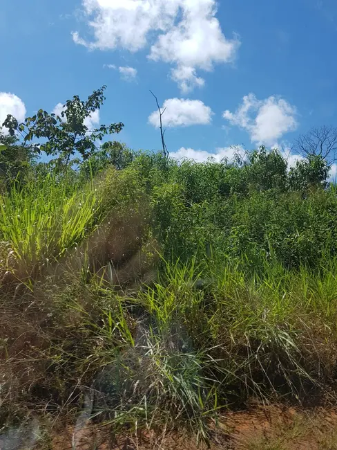 Fazenda / Haras com 1 quarto à venda, 46651m2 em Parque Atalaia, Cuiaba - MT - imagem 5 Foto 5 de Fazenda / Haras com 1 quarto à venda, 46651m2 em Parque Atalaia, Cuiaba - MT