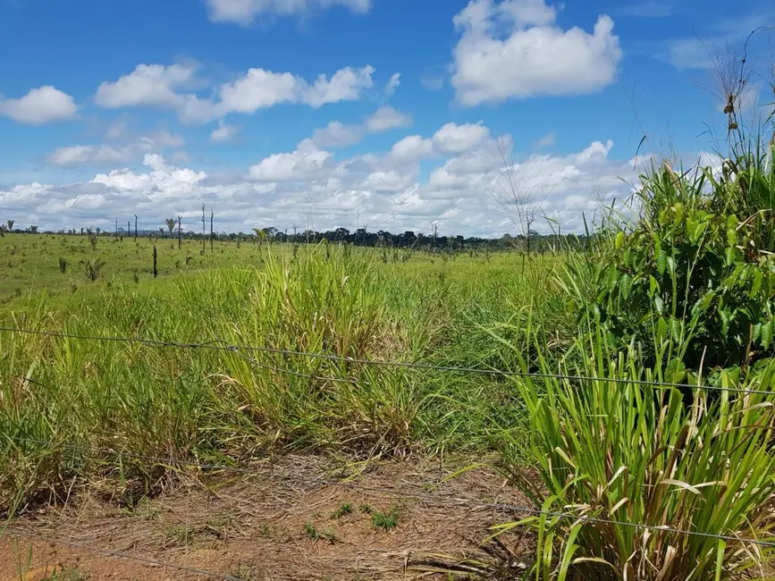 Fazenda / Haras com 1 quarto à venda, 46651m2 em Parque Atalaia, Cuiaba - MT - imagem 9 Foto 9 de Fazenda / Haras com 1 quarto à venda, 46651m2 em Parque Atalaia, Cuiaba - MT