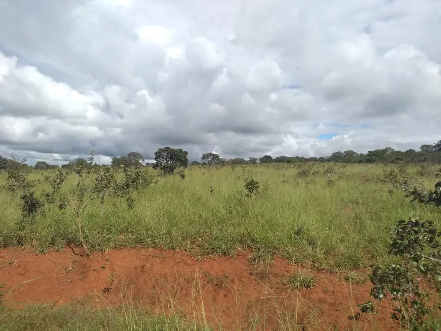 Fazenda / Haras com 1 quarto à venda, 785m2 em Goiania - GO - imagem 7 Foto 7 de Fazenda / Haras com 1 quarto à venda, 785m2 em Goiania - GO