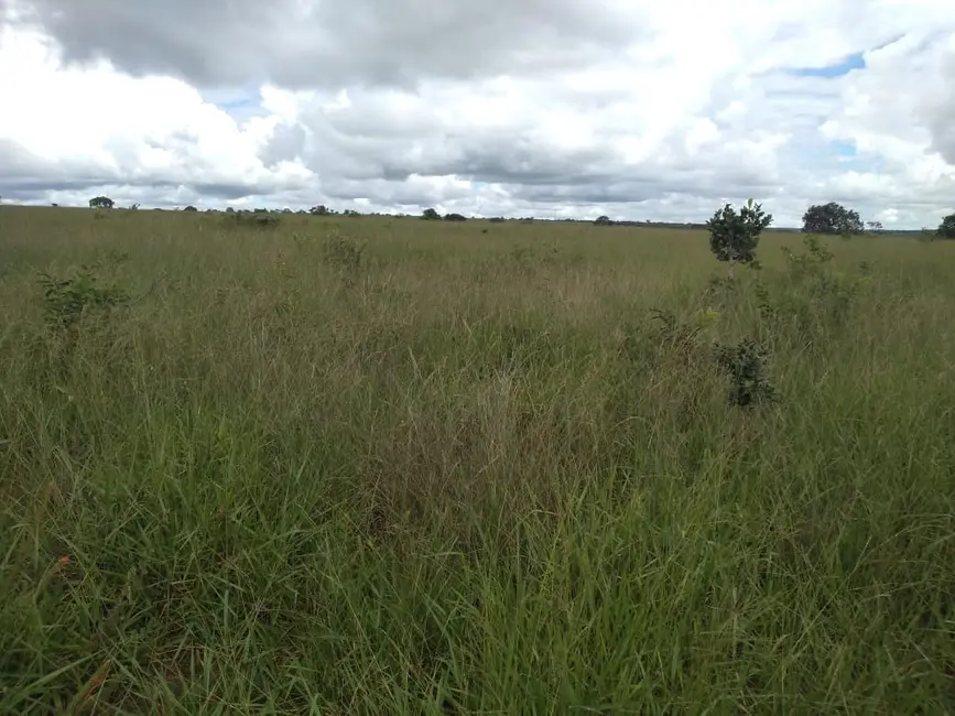 Fazenda / Haras com 1 quarto à venda, 785m2 em Goiania - GO - imagem 8 Foto 8 de Fazenda / Haras com 1 quarto à venda, 785m2 em Goiania - GO