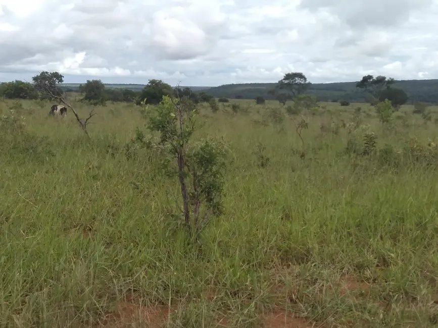 Fazenda / Haras com 1 quarto à venda, 785m2 em Goiania - GO - imagem 3 Foto 3 de Fazenda / Haras com 1 quarto à venda, 785m2 em Goiania - GO