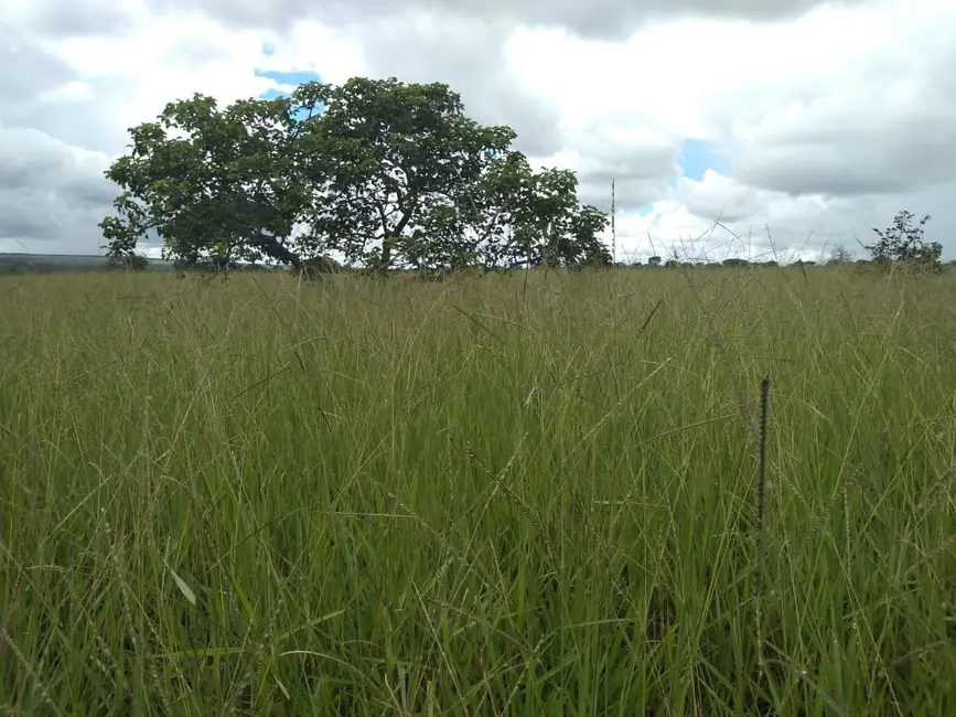 Fazenda / Haras com 1 quarto à venda, 785m2 em Goiania - GO - imagem 9 Foto 9 de Fazenda / Haras com 1 quarto à venda, 785m2 em Goiania - GO