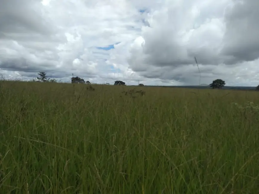 Fazenda / Haras com 1 quarto à venda, 785m2 em Goiania - GO - imagem 4 Foto 4 de Fazenda / Haras com 1 quarto à venda, 785m2 em Goiania - GO