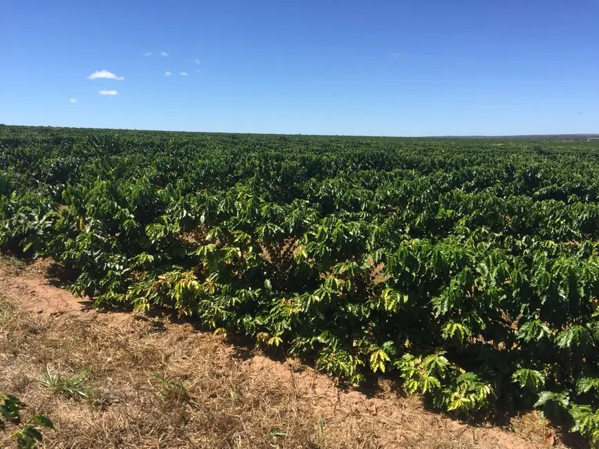 Foto 4 de Fazenda / Haras com 3 quartos à venda, 8600m2 em Sitio D Abadia - GO