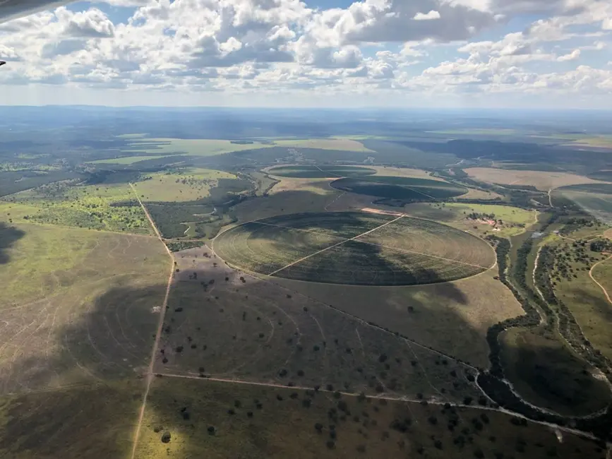 Foto 8 de Fazenda / Haras com 3 quartos à venda, 8600m2 em Sitio D Abadia - GO