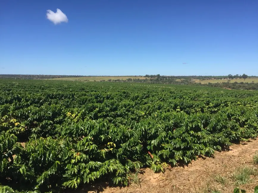 Foto 7 de Fazenda / Haras com 3 quartos à venda, 8600m2 em Sitio D Abadia - GO