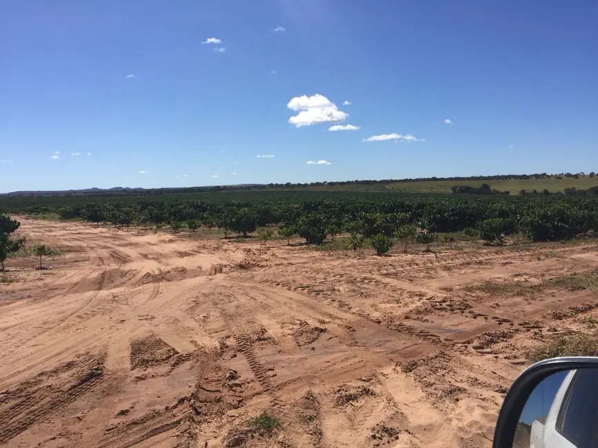 Foto 6 de Fazenda / Haras com 3 quartos à venda, 8600m2 em Sitio D Abadia - GO
