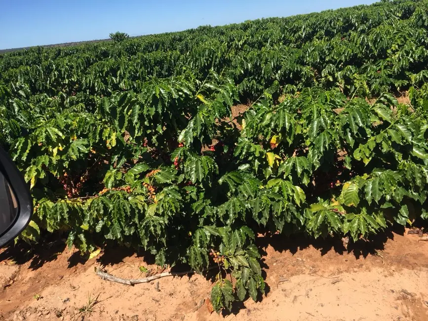 Foto 5 de Fazenda / Haras com 3 quartos à venda, 8600m2 em Sitio D Abadia - GO