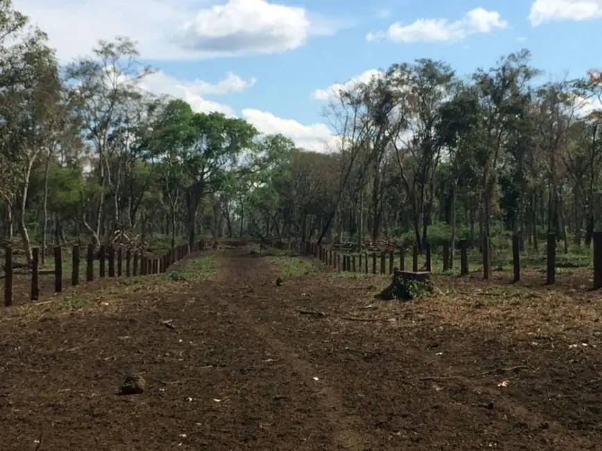 Foto 5 de Fazenda / Haras com 4 quartos à venda, 5500m2 em Centro-Norte, Cuiaba - MT