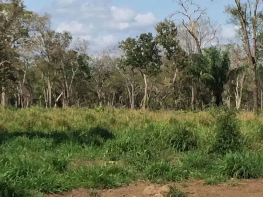 Foto 6 de Fazenda / Haras com 4 quartos à venda, 5500m2 em Centro-Norte, Cuiaba - MT