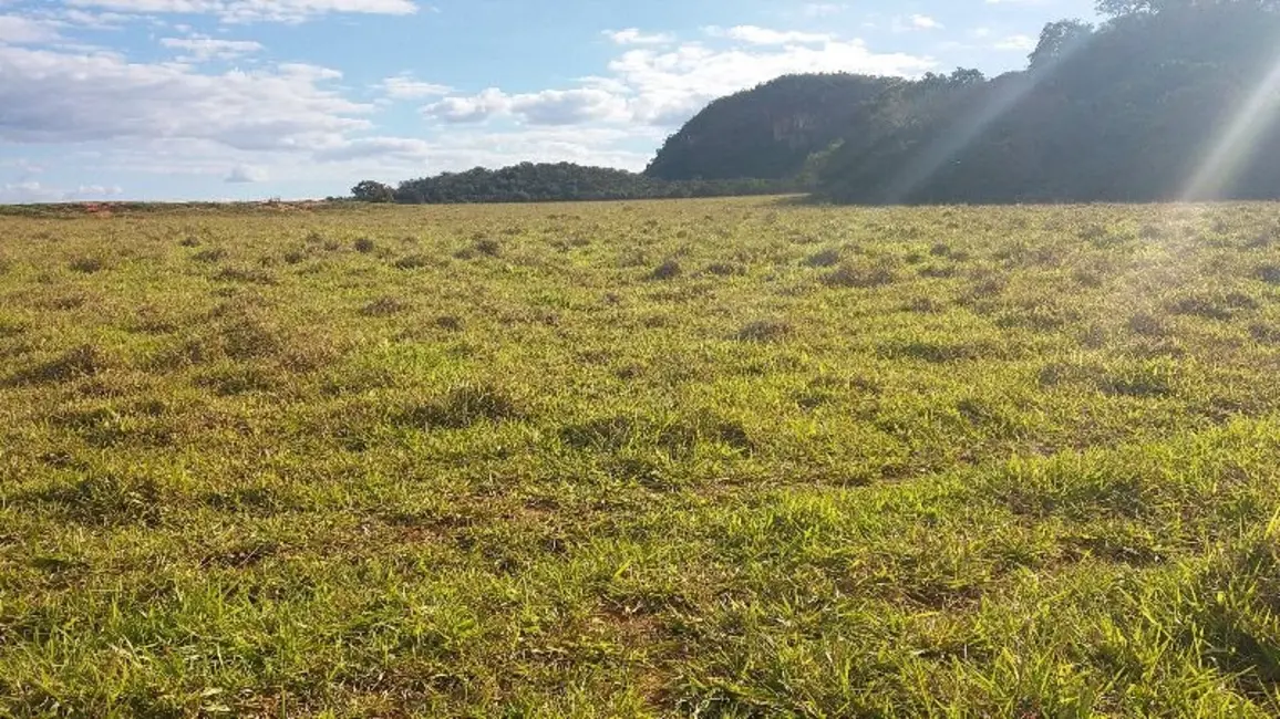 Foto 2 de Fazenda / Haras com 3 quartos à venda, 798m2 em Centro, Formosa - GO