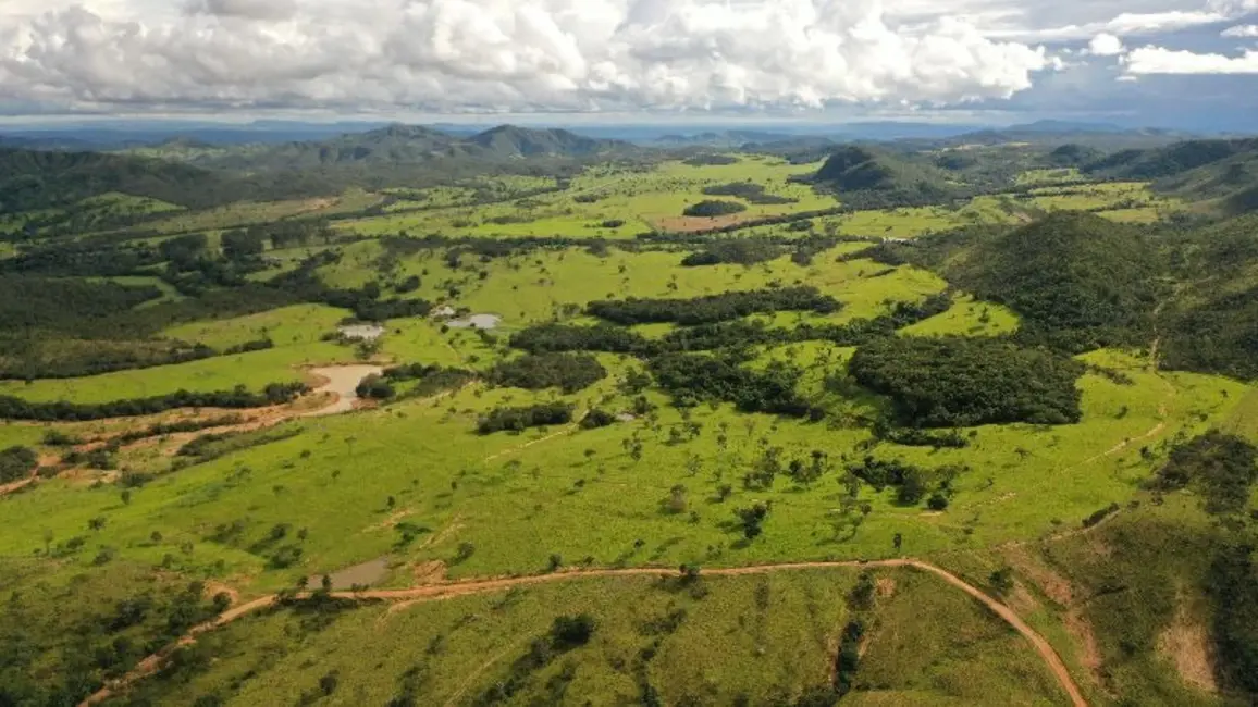Foto 8 de Fazenda / Haras com 3 quartos à venda, 798m2 em Centro, Formosa - GO