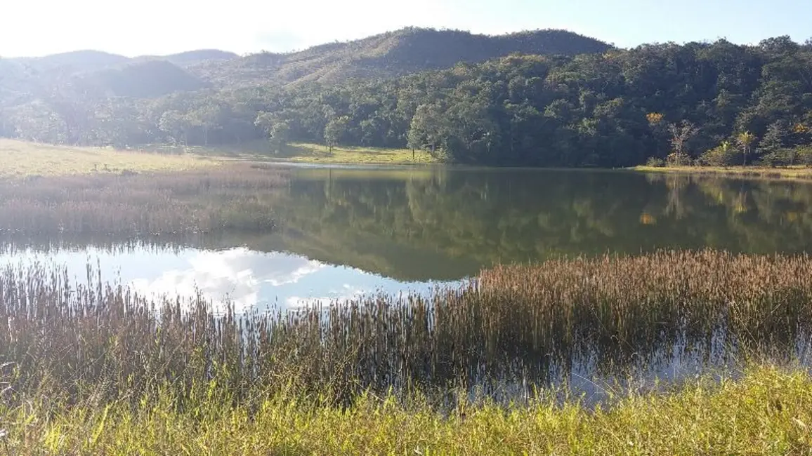 Foto 6 de Fazenda / Haras com 3 quartos à venda, 798m2 em Centro, Formosa - GO