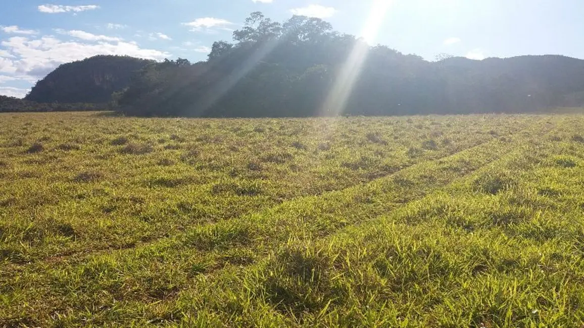 Foto 3 de Fazenda / Haras com 3 quartos à venda, 798m2 em Centro, Formosa - GO