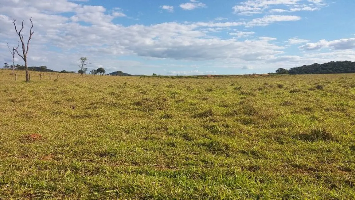 Foto 4 de Fazenda / Haras com 3 quartos à venda, 798m2 em Centro, Formosa - GO
