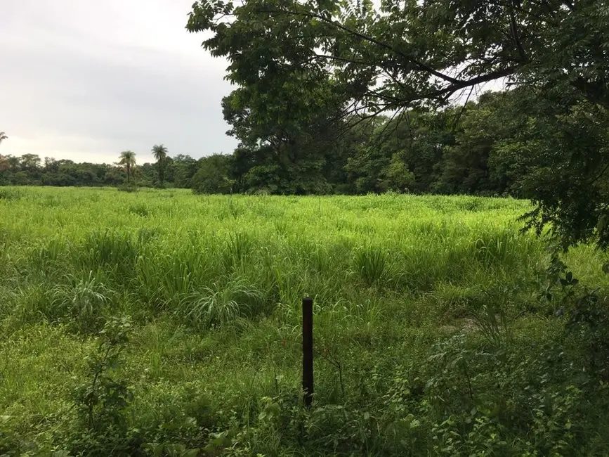 Fazenda / Haras com 1 quarto à venda, 2904m2 em Centro, Formosa - GO - imagem 8 Foto 8 de Fazenda / Haras com 1 quarto à venda, 2904m2 em Centro, Formosa - GO