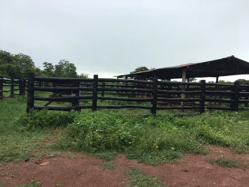 Fazenda / Haras com 1 quarto à venda, 2904m2 em Centro, Formosa - GO - imagem 4 Foto 4 de Fazenda / Haras com 1 quarto à venda, 2904m2 em Centro, Formosa - GO