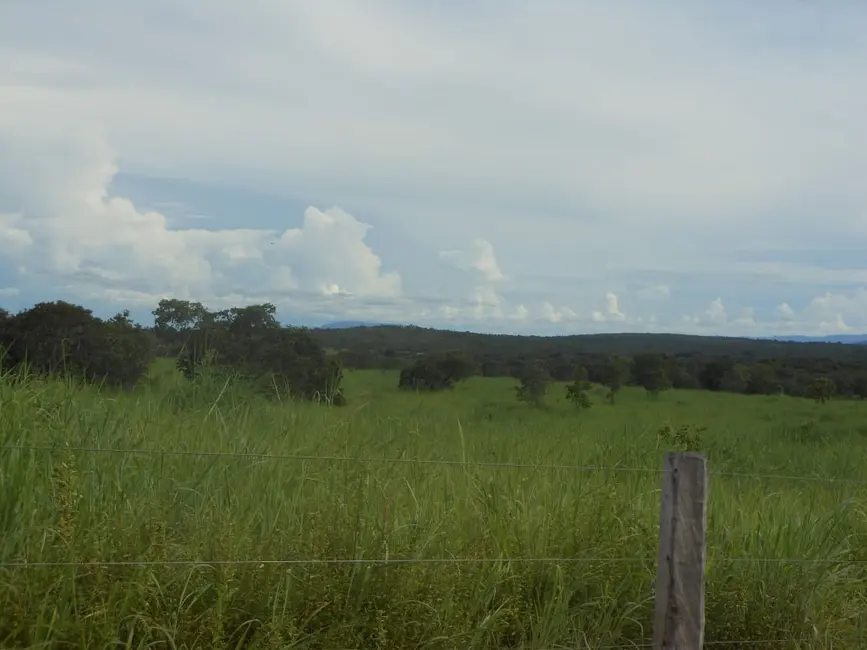 Fazenda / Haras com 1 quarto à venda, 2904m2 em Centro, Formosa - GO - imagem 9 Foto 9 de Fazenda / Haras com 1 quarto à venda, 2904m2 em Centro, Formosa - GO