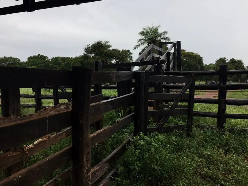 Fazenda / Haras com 1 quarto à venda, 2904m2 em Centro, Formosa - GO - imagem 5 Foto 5 de Fazenda / Haras com 1 quarto à venda, 2904m2 em Centro, Formosa - GO