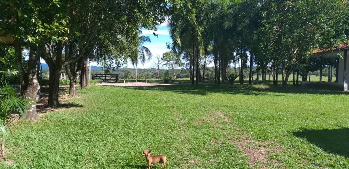 Fazenda / Haras com 9 quartos à venda, 1374m2 em Centro-Norte, Cuiaba - MT - imagem 2 Foto 2 de Fazenda / Haras com 9 quartos à venda, 1374m2 em Centro-Norte, Cuiaba - MT