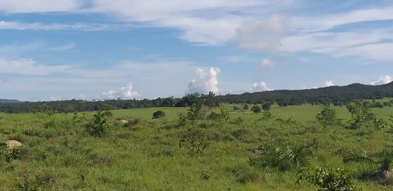 Fazenda / Haras com 9 quartos à venda, 1374m2 em Centro-Norte, Cuiaba - MT - imagem 6 Foto 6 de Fazenda / Haras com 9 quartos à venda, 1374m2 em Centro-Norte, Cuiaba - MT