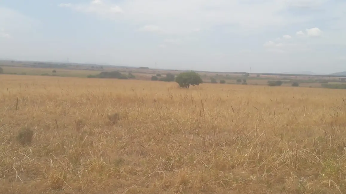 Fazenda / Haras com 1 quarto à venda, 1934m2 em Parque Atheneu, Goiania - GO - imagem 4 Foto 4 de Fazenda / Haras com 1 quarto à venda, 1934m2 em Parque Atheneu, Goiania - GO