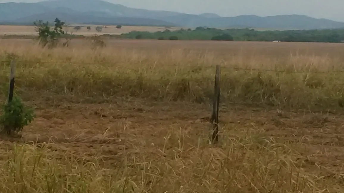 Fazenda / Haras com 1 quarto à venda, 1934m2 em Parque Atheneu, Goiania - GO - imagem 6 Foto 6 de Fazenda / Haras com 1 quarto à venda, 1934m2 em Parque Atheneu, Goiania - GO