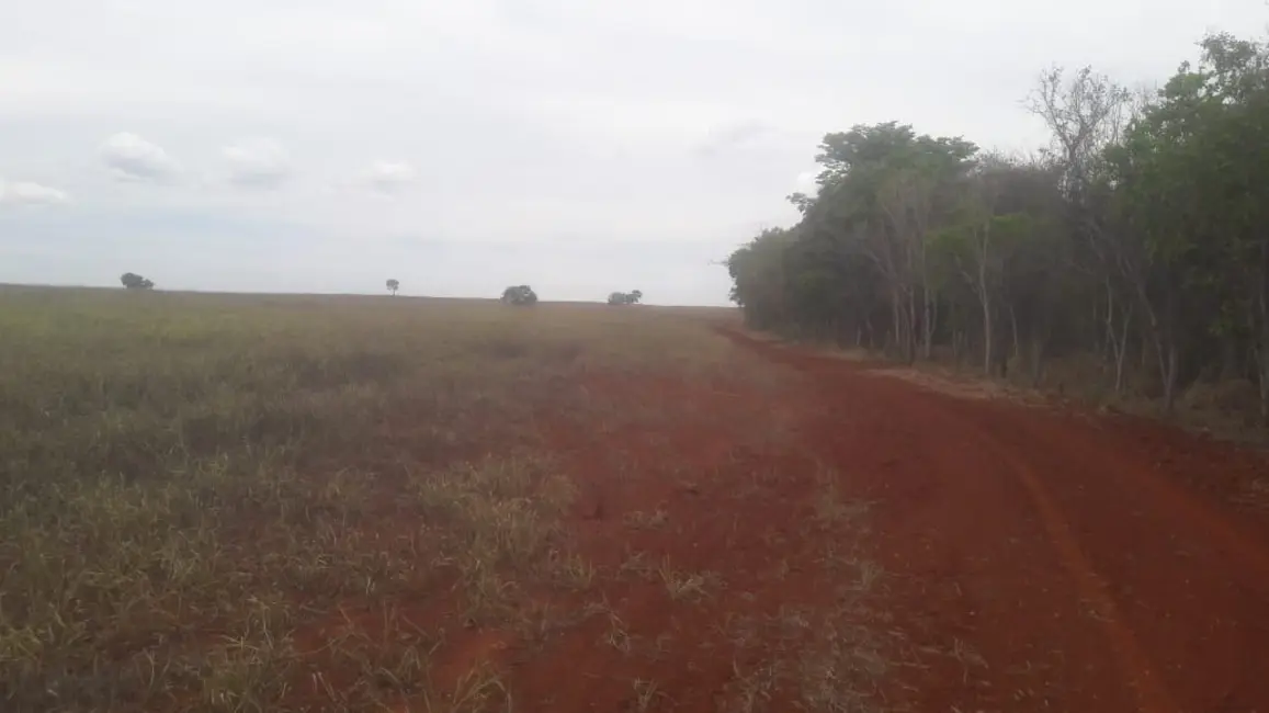 Fazenda / Haras com 1 quarto à venda, 1934m2 em Parque Atheneu, Goiania - GO - imagem 7 Foto 7 de Fazenda / Haras com 1 quarto à venda, 1934m2 em Parque Atheneu, Goiania - GO