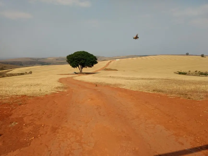 Fazenda / Haras com 1 quarto à venda, 4896m2 em Centro, Patos De Minas - MG - imagem 7 Foto 7 de Fazenda / Haras com 1 quarto à venda, 4896m2 em Centro, Patos De Minas - MG