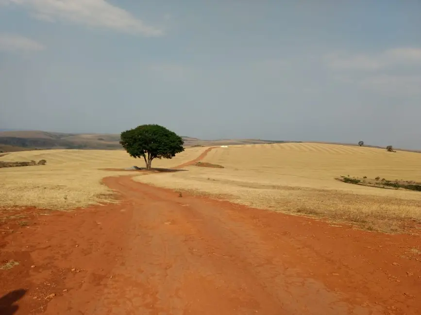 Fazenda / Haras com 1 quarto à venda, 4896m2 em Centro, Patos De Minas - MG - imagem 5 Foto 5 de Fazenda / Haras com 1 quarto à venda, 4896m2 em Centro, Patos De Minas - MG