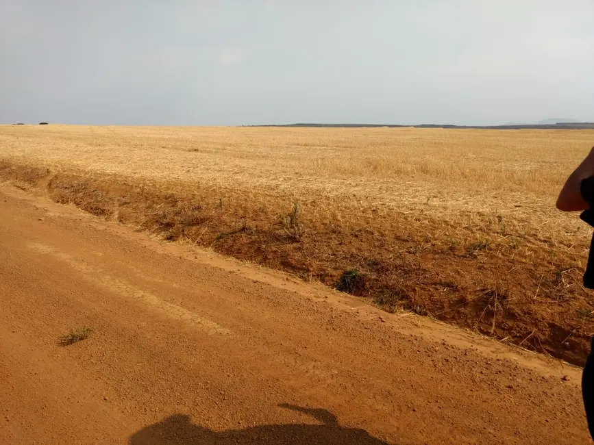 Fazenda / Haras com 1 quarto à venda, 4896m2 em Centro, Patos De Minas - MG - imagem 6 Foto 6 de Fazenda / Haras com 1 quarto à venda, 4896m2 em Centro, Patos De Minas - MG