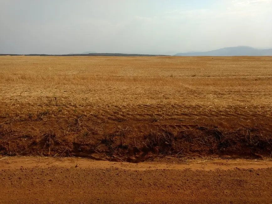 Fazenda / Haras com 1 quarto à venda, 4896m2 em Centro, Patos De Minas - MG - imagem 4 Foto 4 de Fazenda / Haras com 1 quarto à venda, 4896m2 em Centro, Patos De Minas - MG