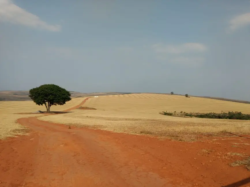 Fazenda / Haras com 1 quarto à venda, 4896m2 em Centro, Patos De Minas - MG - imagem 8 Foto 8 de Fazenda / Haras com 1 quarto à venda, 4896m2 em Centro, Patos De Minas - MG