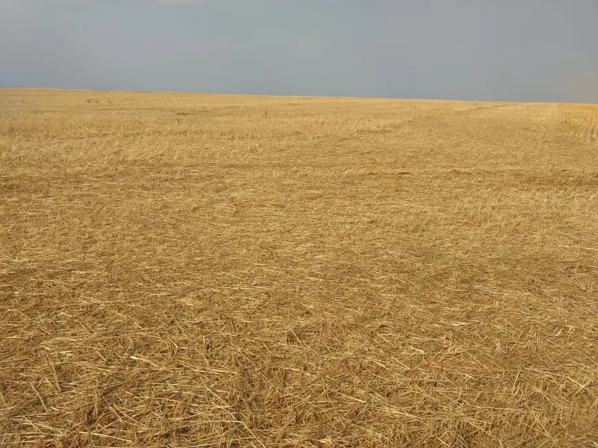 Fazenda / Haras com 1 quarto à venda, 4896m2 em Centro, Patos De Minas - MG - imagem 3 Foto 3 de Fazenda / Haras com 1 quarto à venda, 4896m2 em Centro, Patos De Minas - MG