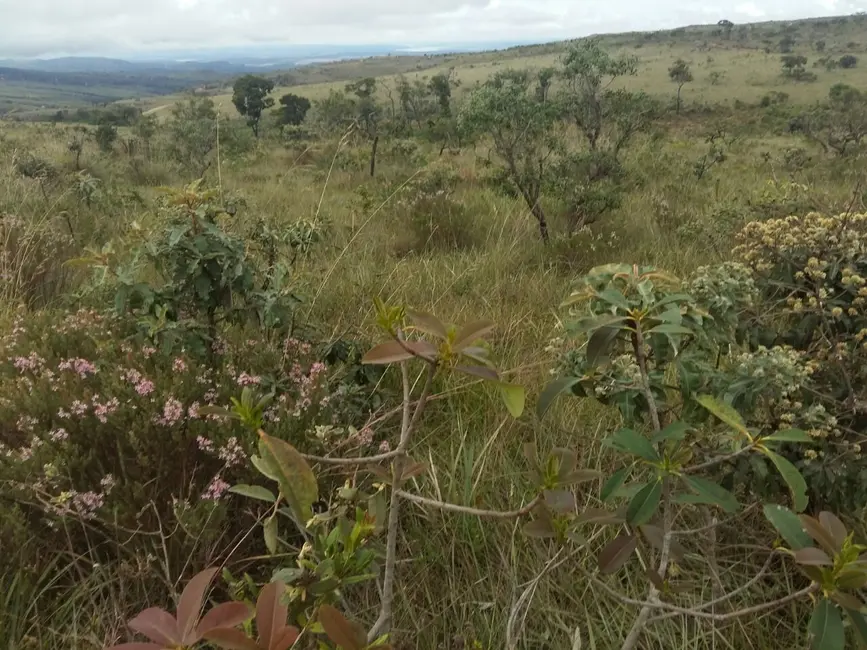 Fazenda / Haras com 1 quarto à venda, 4896m2 em Centro, Patos De Minas - MG - imagem 9 Foto 9 de Fazenda / Haras com 1 quarto à venda, 4896m2 em Centro, Patos De Minas - MG