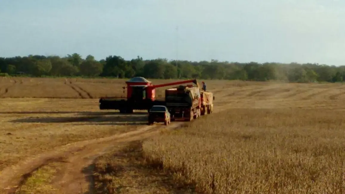 Foto 8 de Fazenda / Haras com 1 quarto à venda, 276m2 em Novo Horizonte, Redencao - PA