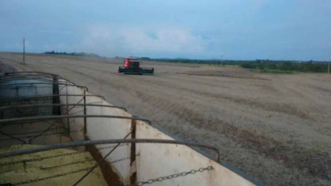 Foto 3 de Fazenda / Haras com 1 quarto à venda, 276m2 em Novo Horizonte, Redencao - PA