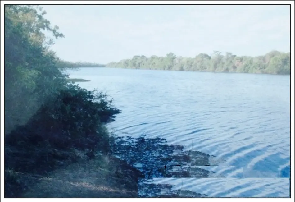 Foto 7 de Fazenda / Haras com 7 quartos à venda, 8100m2 em Manga - MG