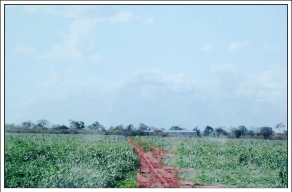 Foto 6 de Fazenda / Haras com 7 quartos à venda, 8100m2 em Manga - MG